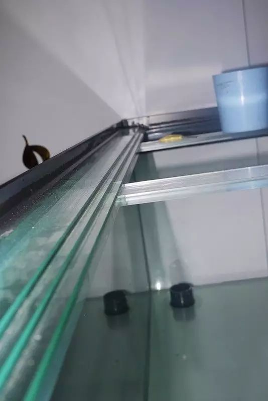 这个只有1.6米的diy鱼缸,看完后不得不直呼过瘾!
