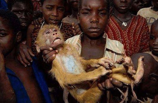 非洲人什么都吃, 中国游客看到后, 纷纷表示太恐怖了