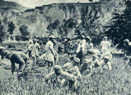 红军战争时的武器竟然差到这个地步不做这个动作放不了枪