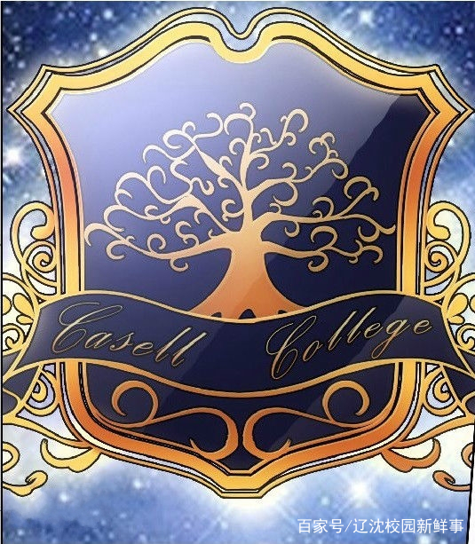 荡荡的,拿什么都填不满,"男人抚摸自己的左胸,"所以他才会不停地喝酒