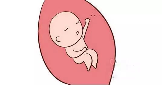 胎儿睡觉卡通图片图片