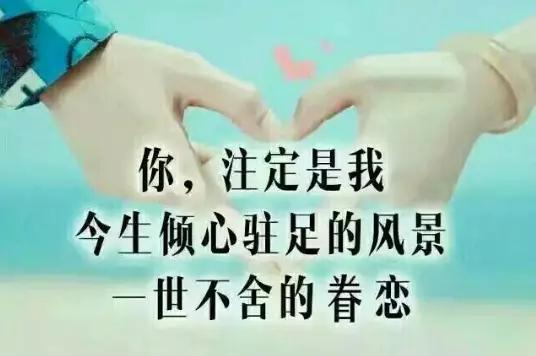 如果你爱我一别让我们的爱情败给对不起我家里不同意