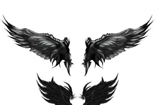 十二星座专属的天使翅膀双子座最美天蝎座最酷看看你的呢