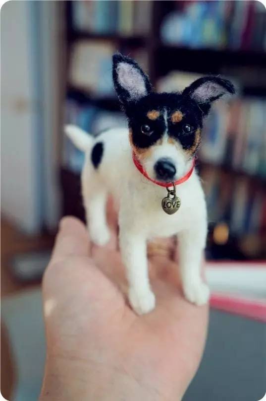 什么叫巴掌大的狗,今天算是见识到了