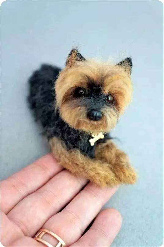 什么叫巴掌大的狗,今天算是见识到了