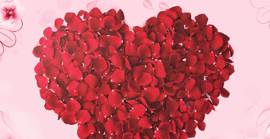 正文  号外号外!   三八妇女节   襄阳号外 为粉丝免费发福利啦!