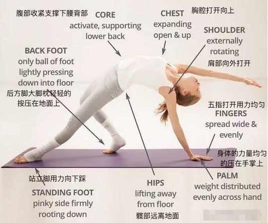 瑜伽狂野式 是时候多练习一下啦