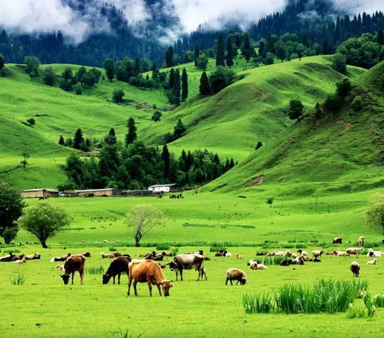 暂别雾霾全球最美六大草原绝对让你眼前一亮