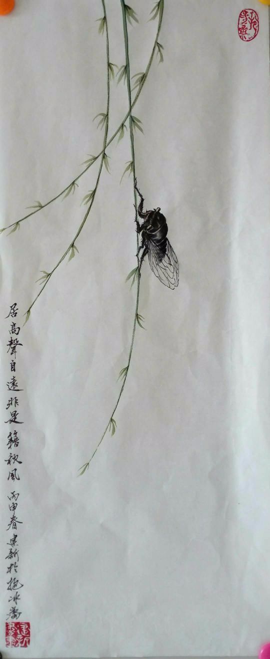 书画家葛建新:所作鱼虾,天趣横生!