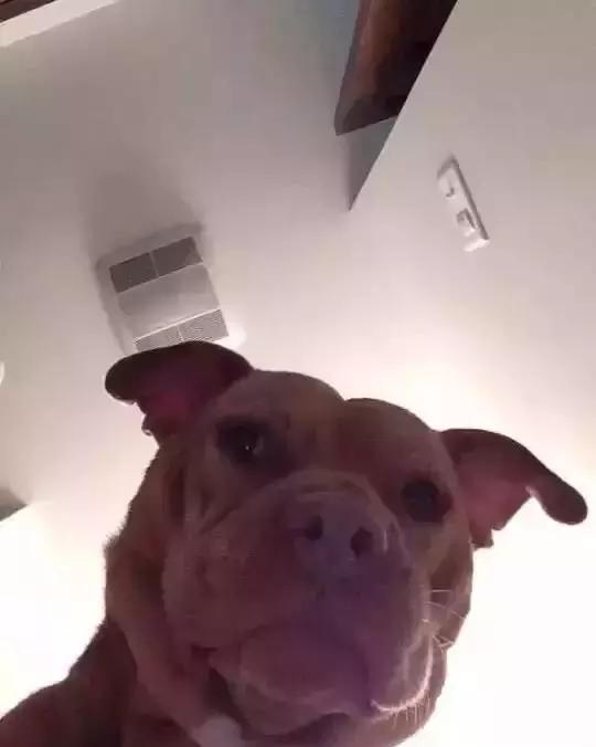 "快看着我的眼睛说你爱我!