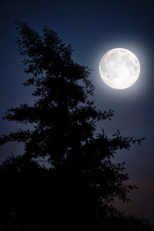 稀星千点玉,明月一轮心