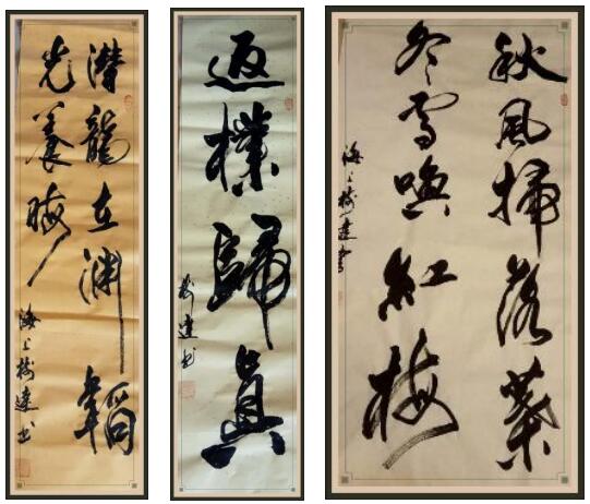 品味经典，感悟人生智慧——走进散文的魅力世界