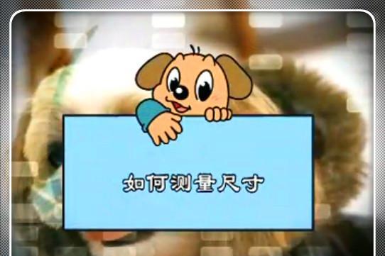 学习狗狗衣服制作的测量方法,做个四腿连体服,保暖又卫生