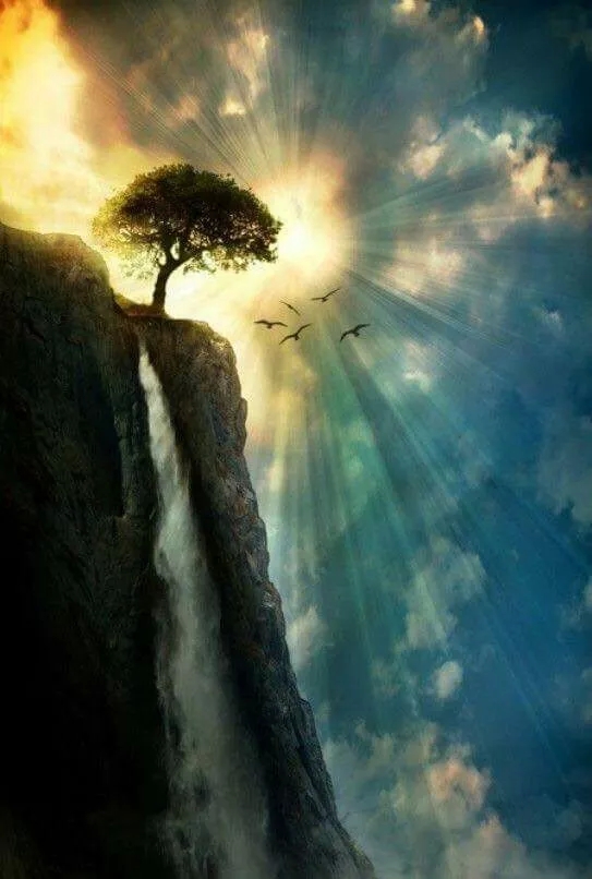 大千世界绚丽多彩,有时候换个角度,就能看到不一样的美景