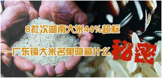 2014年4月,转基因大米事件