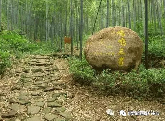 5公里处7红森林乐园溧阳红森林乐园位于溧阳千年古镇社渚郁郁葱葱的