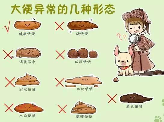 健康|肠道|大便_新浪新闻