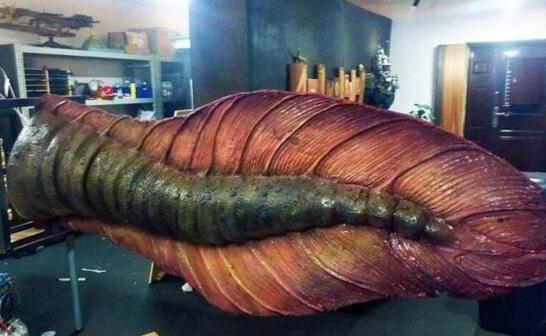 地球史上最大的蝾螈,恐龙见了它都怕,在《鬼吹灯》中出现过|蝾螈|霸王