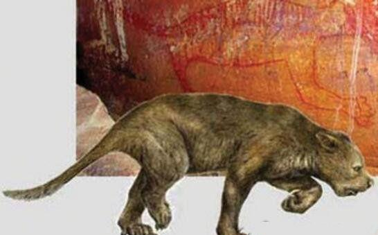 袋狮地球上咬合力最强的哺乳动物除恐龙以外最凶残的动物