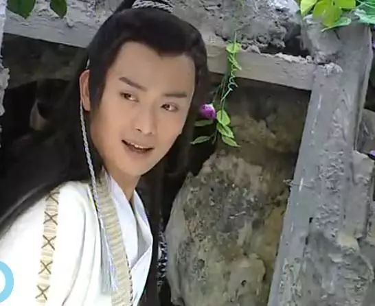 雪花女神龙  2003 我只记得乔振宇演的赛华佗,哈哈!