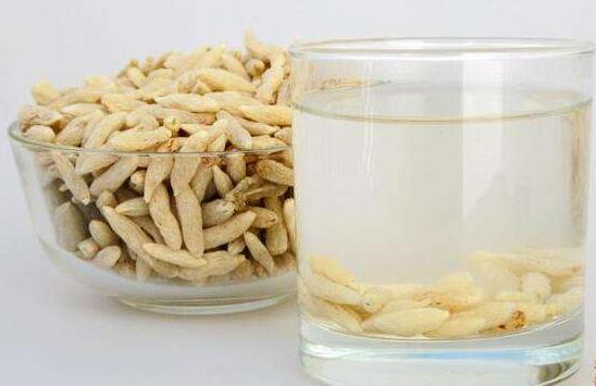 小孩可以喝麦冬水吗注意小孩喝麦冬有副作用