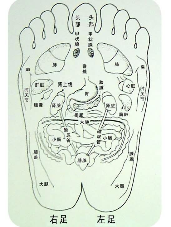 千里之行 始于足下|趾甲|脚趾|脚心_新浪新闻