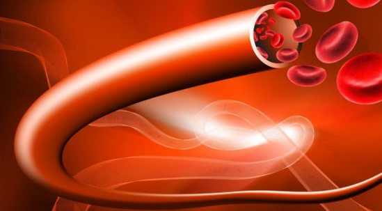 血管使用了几十年 如何让血液不稠