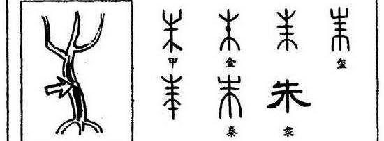 ("朱"字的演化) 了解了朱和木之间的关系,那很自然就能明白黛玉为何要