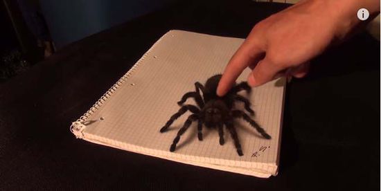 老爹画逼真3d大蜘蛛吓闺女 没想成萌娃太凶残了