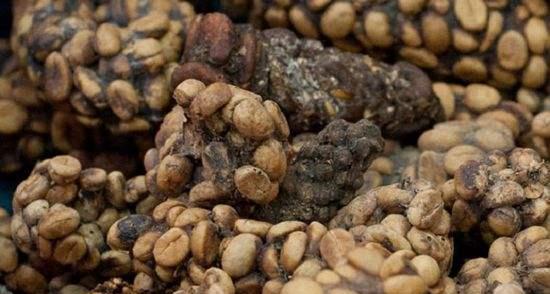 网友评选世界上8大最难吃食物第3个最恶心看着太吓人了