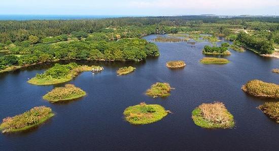 海南湿地遭蚕食, 国际旅游岛前景令人担忧!