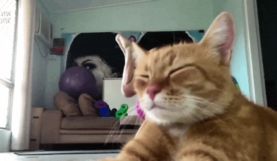 550_320gif 动态图 动图