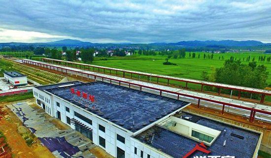 高铁|江油|动车组_新浪新闻