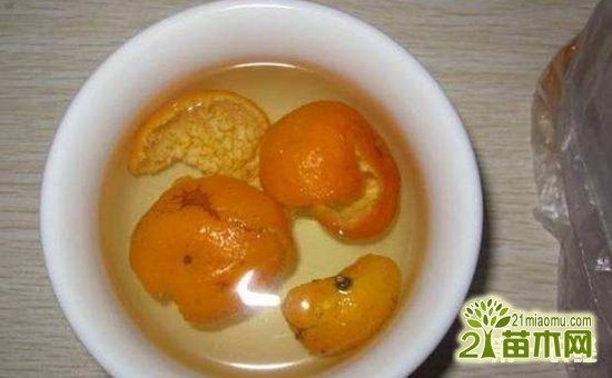 你不知道的橘子皮,拿它来养花, 泡水浇花方法详