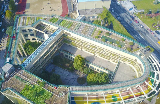 近1300平方米的教学楼楼顶鱼稻共生池,水果培育园,农作物种植园