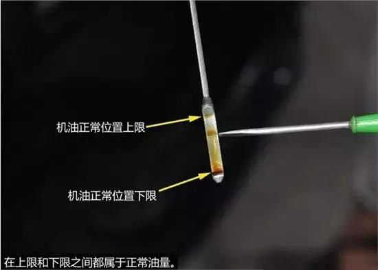 车主,开车组团前往长春东风本田4s店进行维权,"机油门"事件再次升级