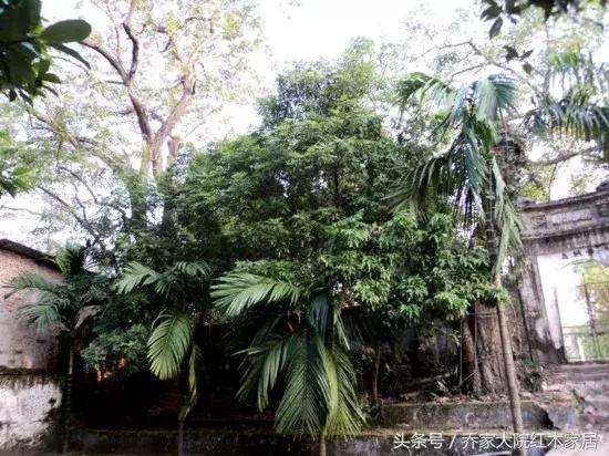 阮宣疃被判刑14年,童文岙13年,陶中山4年6个月,阮登海2年6个月,黎光田