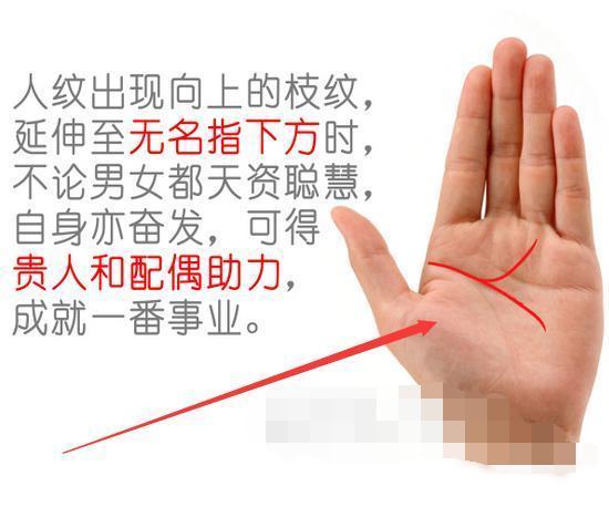 这4种"手纹"手相的人,个个富可敌国,子孙必是"金财神"!