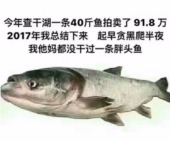 搞笑图片垃圾桶里一只被抛弃的猫咪把小猫咪救起来时彻底懵了