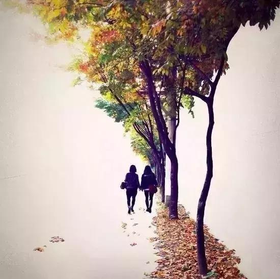 最美的不是风景, 而是感情