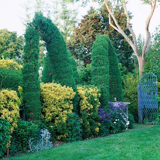 用对常绿植物,让你的花园四季有景可赏