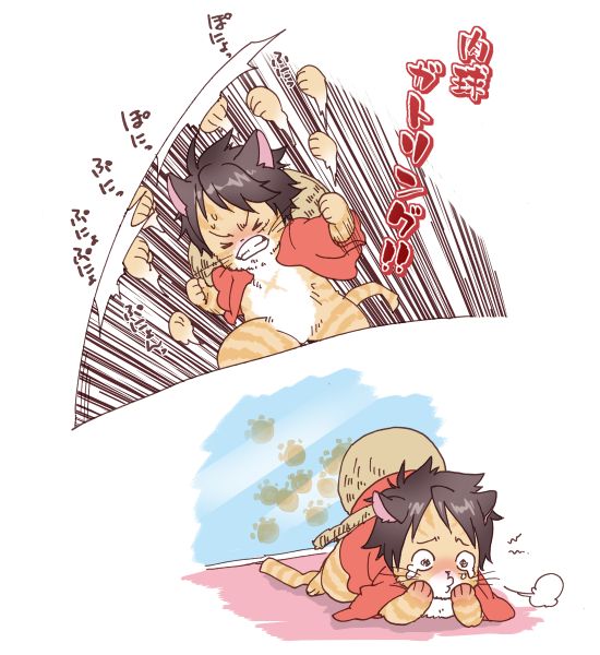 海贼王:巨人倒下,卡二的重新站起,只为跟路飞说这一句话