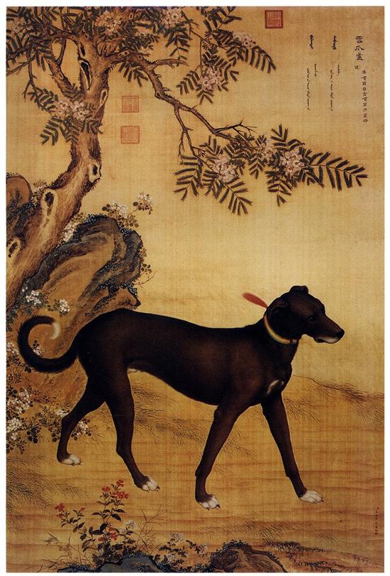 郎世宁画笔下的中国猎犬欣赏大全