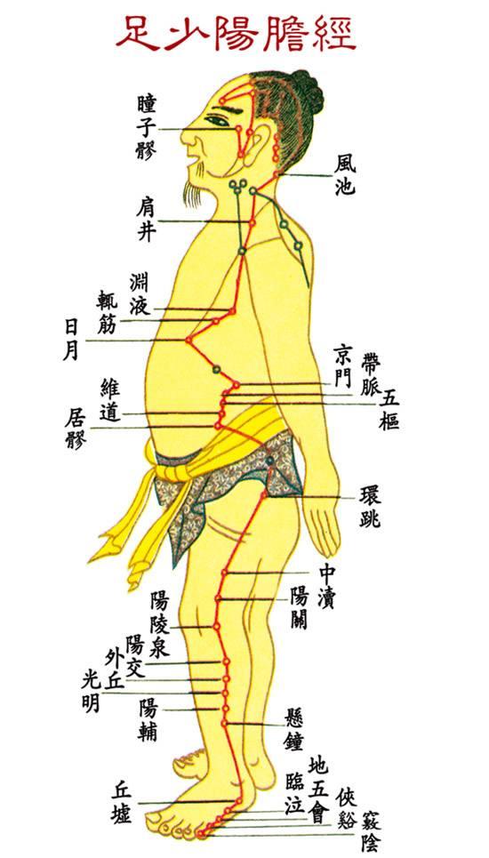 背部胆经的准确位置图图片