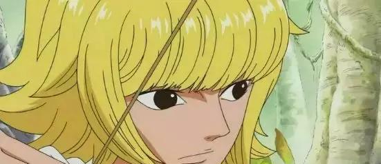 与香豌豆和雅菲兰朵拉一同到丛林狩猎时发现长满香菇的路飞,后将他送