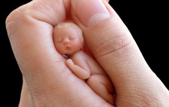 只有3厘米长的小婴儿,捧在手心里萌化众人,很多人都想拥有一个
