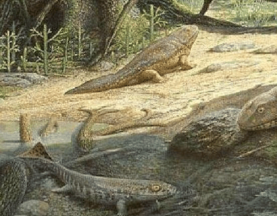 陆地动物是怎样从海洋动物进化过来的?这种动