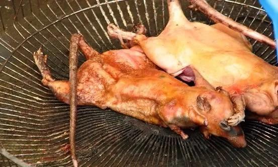 老鼠肉可以吃吗?,可以进来看看这篇文章