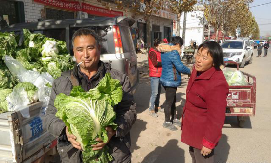 河南大叔起早卖菜冻感冒了,1毛贱卖上千斤白菜,卖完好去看病