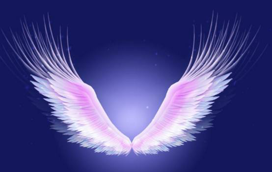 十二星座专属的天使翅膀双子座最美天蝎座最酷看看你的呢